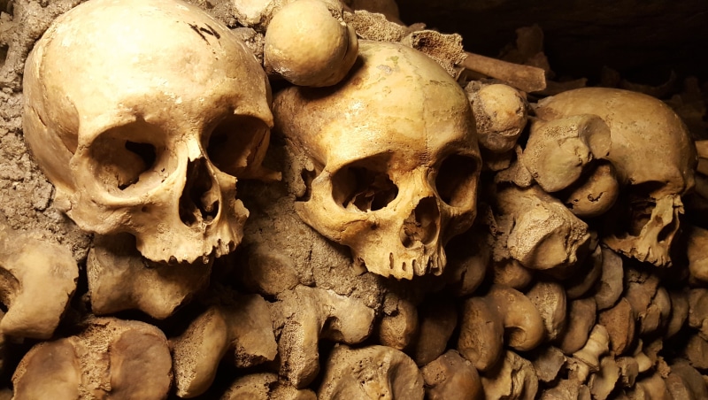 religion, spooky, halloween, ancient, horror, human skeleton, bone, skeleton, skulls, archaeology, the past, scary, 5K, architecture, human bone, skull