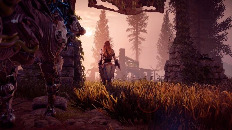 outdoors, sky, tranquility, videogame, Horizon: Zero Dawn, Aloy (Horizon: Zero Dawn), landscape, growth, field, PlayStation 4, plant, environment