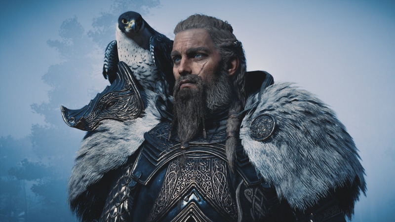 Viking, Eivor Varinsdottir, 2K, Assassins Creed Valhalla, Falcon