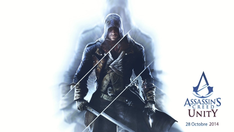 festival, Assassins Creed:  Unity, enjoyment, event, popular music concert, standing, arts culture and entertainment, unity, music festival, lifestyles