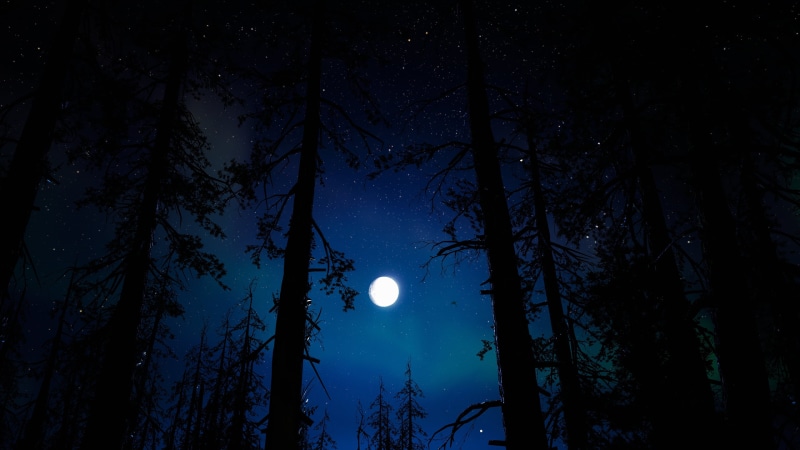 night, Far Cry, forest, stars, Far Cry New Dawn, 2K, PC gaming