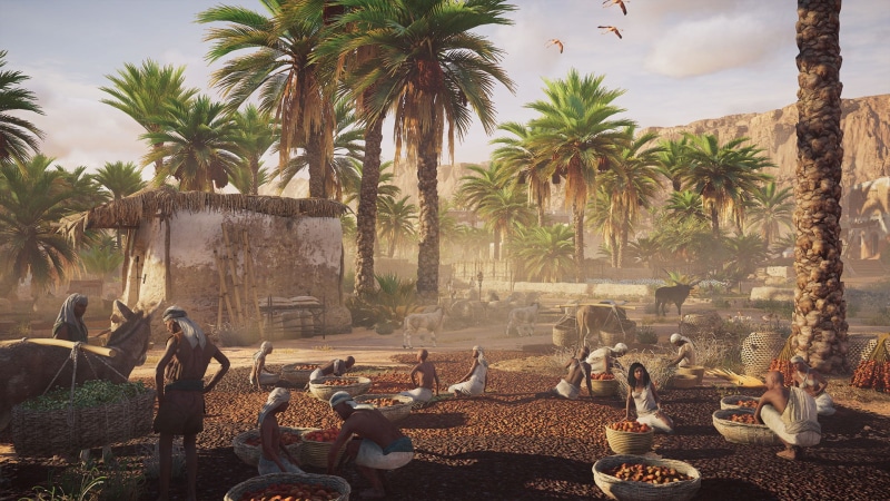 plant, palm tree, Assassins Creed: Origins, outdoors, real people, 1080P, adult, tropical climate, coconut palm tree, video games, farmer, people, group of people