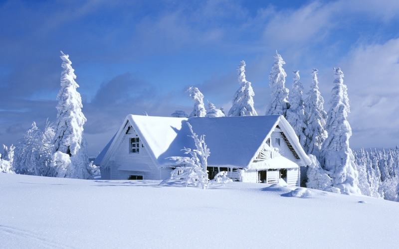 cold temperature, 2K, building, covered, pine trees, house, snow, beauty in nature, winter, architecture, white color, no people, landscape, building exterior