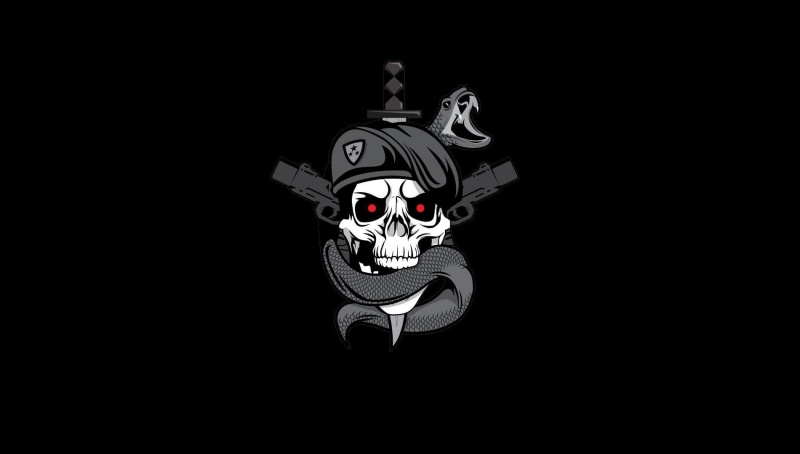 fantasy, copy space, mask, call of duty call of duty black ops simple background simple dark ops, studio shot, indoors, animal head, black color, 720P