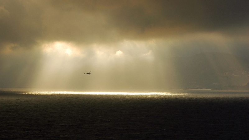 vertebrate, beauty in nature, cloud - sky, animals in the wild, water, nature, animal themes, 2K, military, animal, outdoors, silhouette, sea, no people