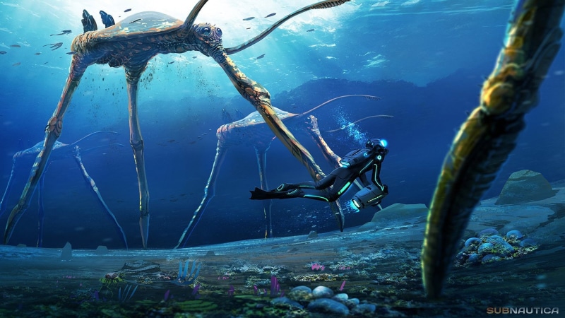 animal wildlife, nature, aquatic sport, scuba diving, undersea, underwater, sea life, 1080P, sea, water, people, Video Game, day, animals in the wild
