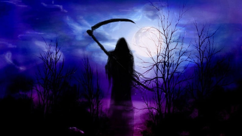 emotion, 1080P, clothing, bare tree, mystery, night, Grim Reaper, standing, Dark, moon, purple, outdoors, human arm, nature, adult, sky, one person, plant