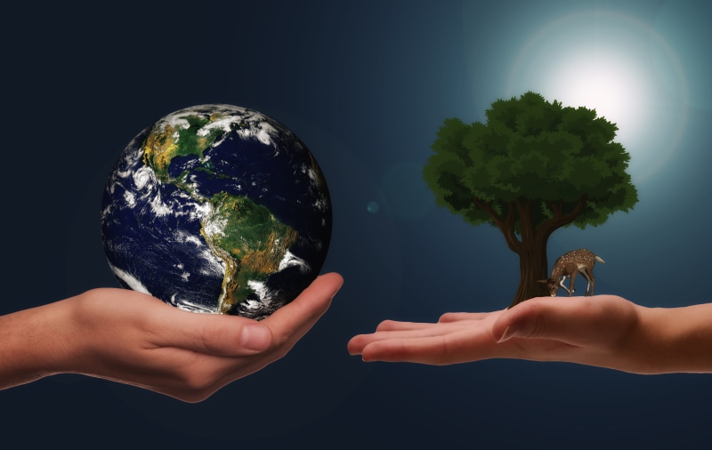 climate protection, environmental issues, environmental protection, sustainability, environmental conservation, global business, nature, ethics, global communications