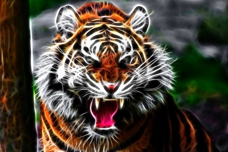 anger, illustration, backgrounds, animal Head, animal, outdoors, animals In The Wild, tiger, looking at camera, cat, carnivore, animal themes, mouth, mammal