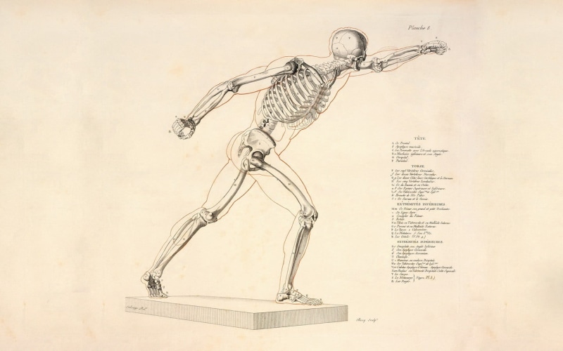 no people, arts culture and entertainment, newspaper, full length, paper, bones, human representation, creativity, music, art and craft, the past, indoors