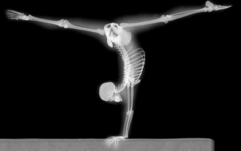 water, handstand, gymnastics, x-rays, body part, human skeleton, no people, science, bones, medical x-ray, studio shot, healthcare and medicine, skeleton