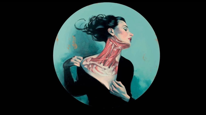 anatomy, drawing, digital/artwork, 720P, muscle, brunette, circle, hd