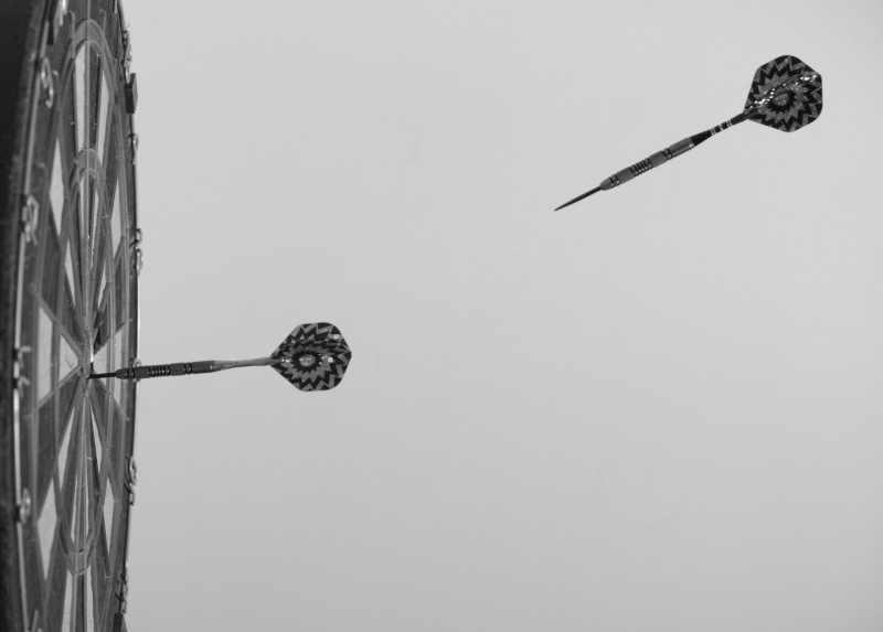 aiming, two, copy space, dart, board, clear sky, bullseye, gray, plant, emotion, animal, cold temperature, dartboard, bulls-eye, nature, built structure