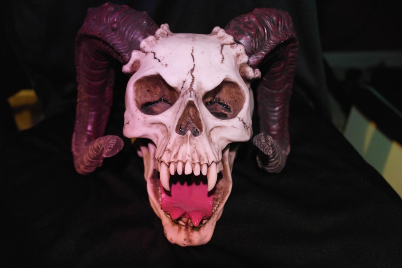 devil, head, horror, horned skull, satan, human skull, bone, wicked, black background, horns, demon, human body part, human teeth, indoors, scary, white