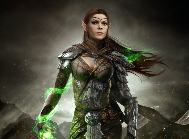 black, Warriors, looking at camera, long hair, 2K, beauty, The Elder Scrolls, hair, serious, digital composite, illustration, indoors, young adult, one person