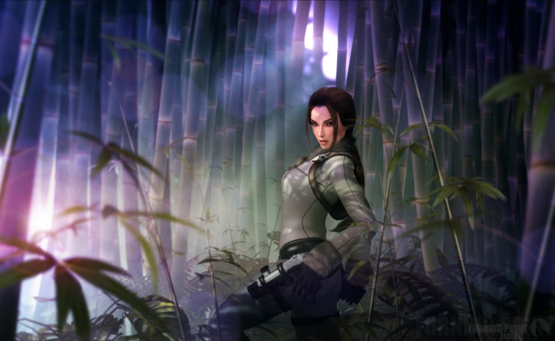 growth, looking at camera, Bamboo, Fanart, beautiful woman, casual clothing, Artwork, lifestyles, adult, LaraCroft, leaf, gray, character, 2K, wearing