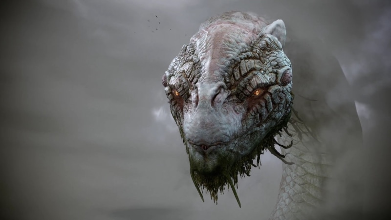 close-up, one animal, domestic animals, animal, animal body part, 1080P, animals in the wild, animal head, animal themes, cold temperature, looking away