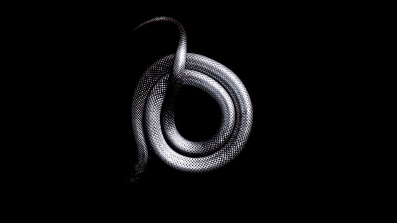 close-up, no people, shape, snake, swirl, silver, single object, geometric shape, night, black, metal, spiral, dark, flexibility, still life, tangled, 1080P
