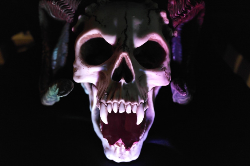 human skeleton, aggression, human teeth, dark, photo, mouth open, head, monster, body part, evil, creepy, nightmare, close, people, death, 5K, human face
