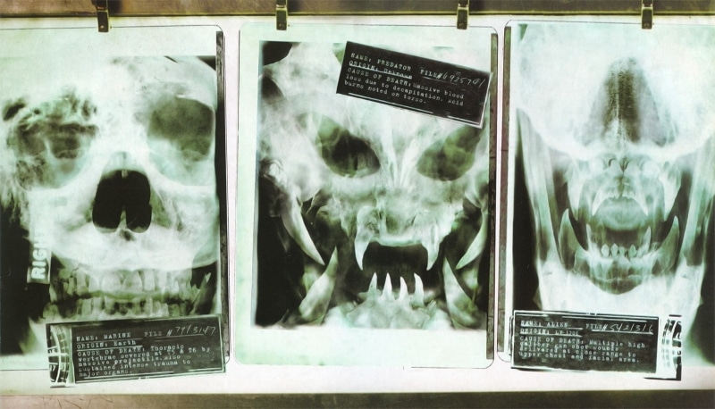 mammal, humor, western script, glass - material, result, medical x-ray, sign, 1080P, close-up, communication, healthcare and medicine, technology, bone