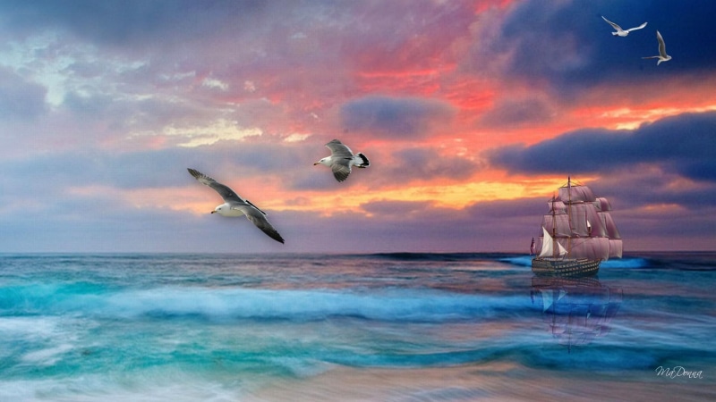 1080P, boat, waves, sailing, birds, seagulls, ocean, shipping, sail, tall, ship, sunset, sea birds