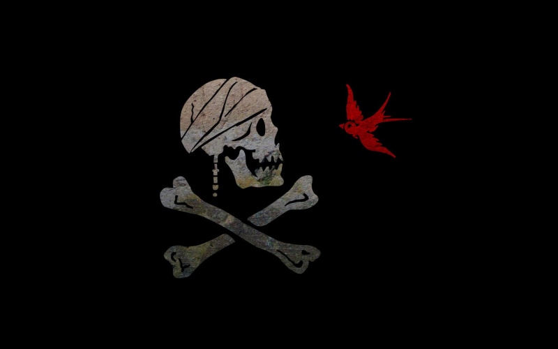 red, change, single object, animal representation, bone, maple leaf, representation, copy space, no people, autumn, indoors, close-up, 720P, black background