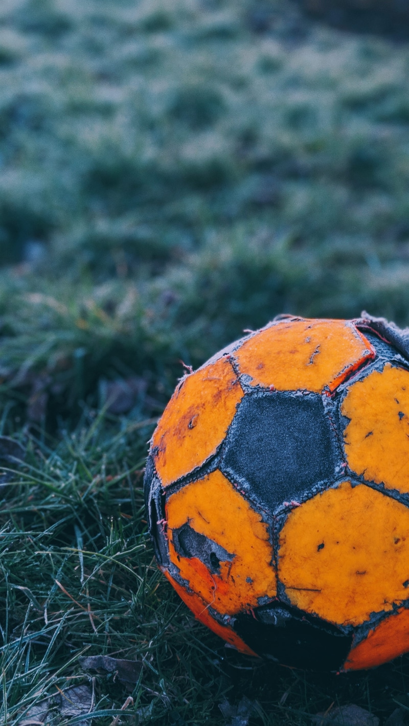 plant, patched, day, soccer, flora, detail, focus on foreground, no people, broken, ball, growth, used, soccer ball, high angle view, ripped, overused