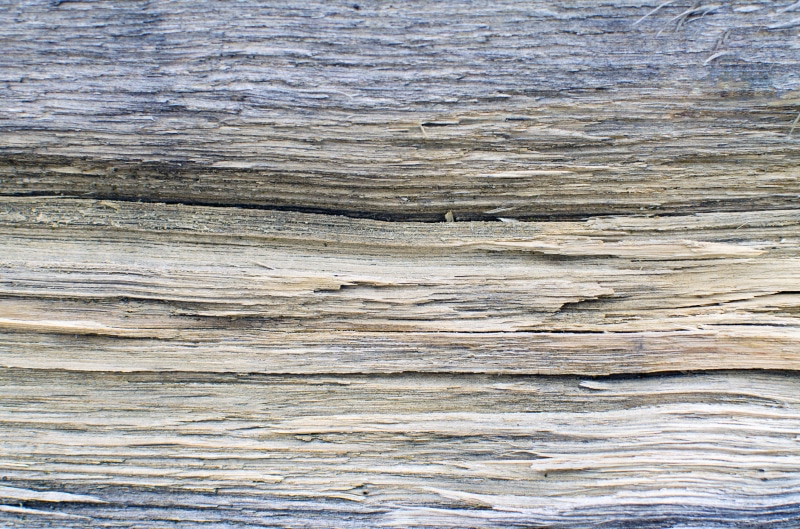 rough, wood grain, natural pattern, stromy, close-up, day, příroda, communication, no people, les, stromové kůry, textured, backgrounds, dřevo, wood - material