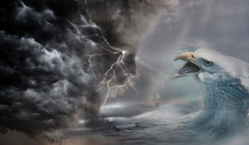 strom, illustration, sky, blue, outdoors, animal themes, water, ocean, one animal, cloud, rain, power, man head, animal wildlife, sea, cloud - sky, 1080P