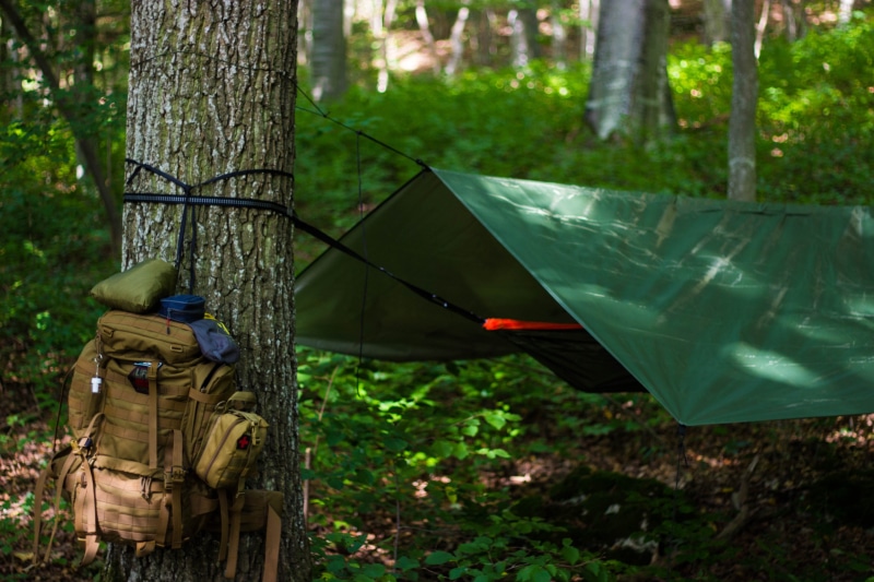 tent, tree trunk, camp, tarp, outdoor, survival, trekking, protection, day, woodland, tree, 5K, bushcraft, forest, one person, growth, camping, real people