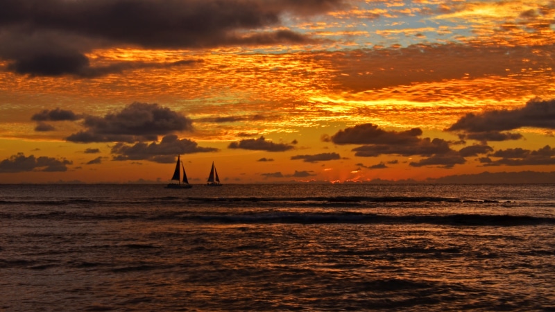 sail, boat, sunlight, body, summer, 4K, Waikiki, Oahu, Sea, water, Skies, Ocean  Water, Honolulu, nature, HI, Colorful, sailing, sail boat, sailboat, Boats