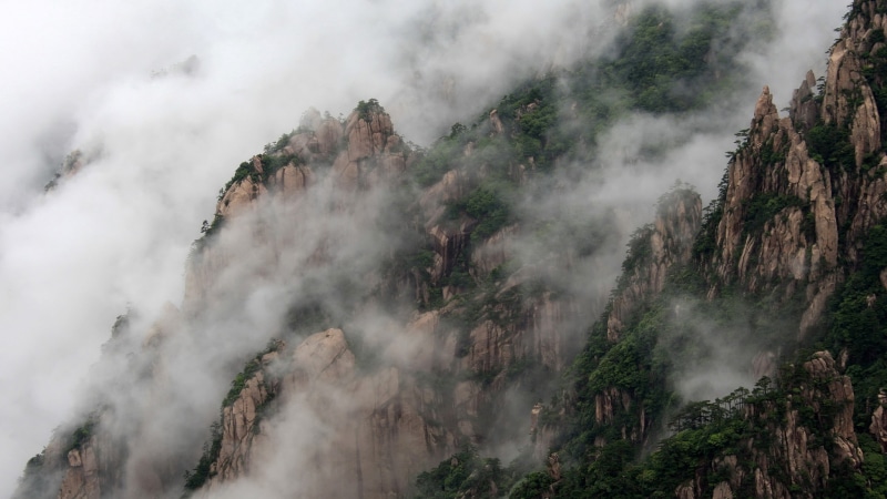 land, solid, sky, smog, no people, coniferous tree, 2K, plant, pine tree, mountain, environment, view, cloud - sky, landscape, scenics - nature, outdoors