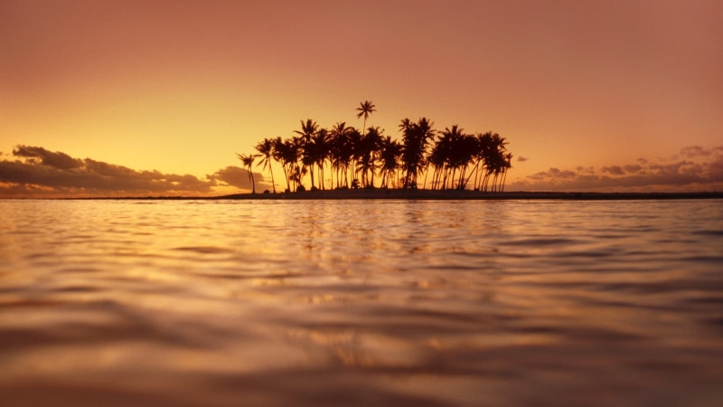 1080P, photography, island, palm trees, tree, coconut palm tree, landscape, nature, tranquility, beauty in nature, trees, land, outdoors, plant, no people