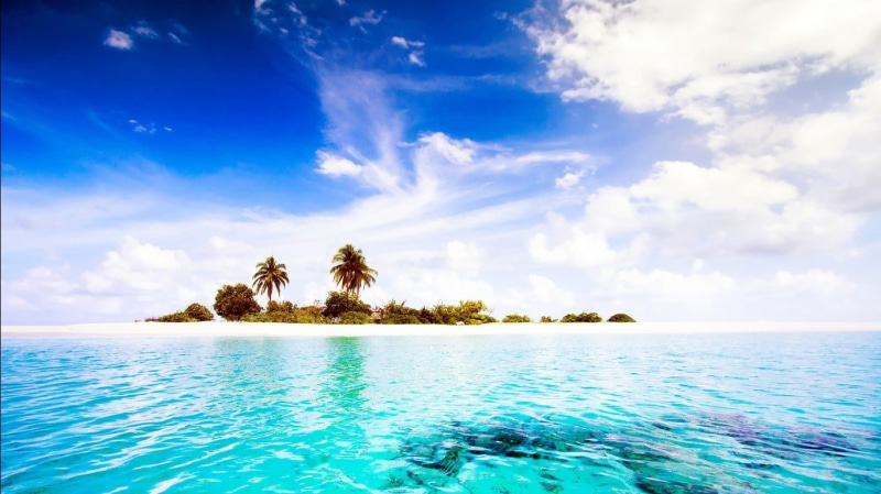 tree, plant, horizon, scenics - nature, sea, palm trees, tranquility, lagoon, coconut, turquoise colored, palm tree, tropical climate, sky, water