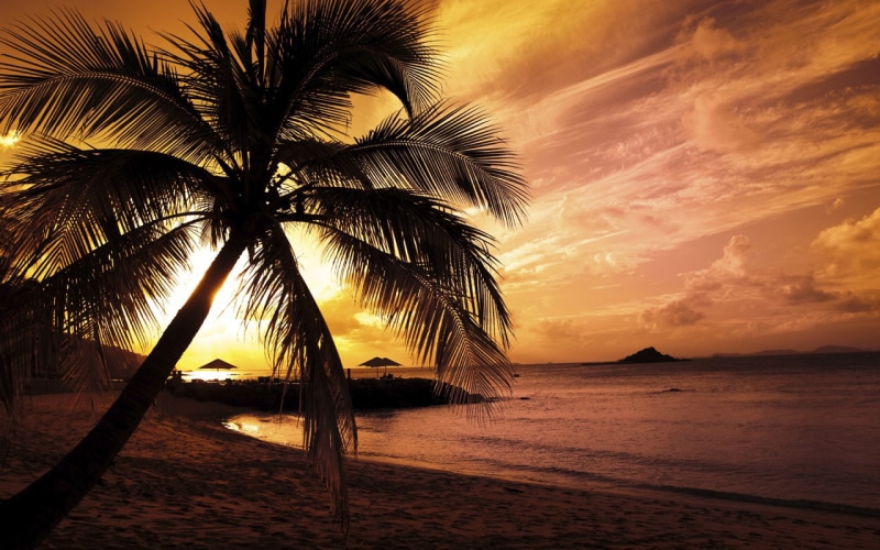 beach, nature, palm tree, blue, 720P, blue sky, tree, sunset, palm, sea, island, sky, holidays, landscape