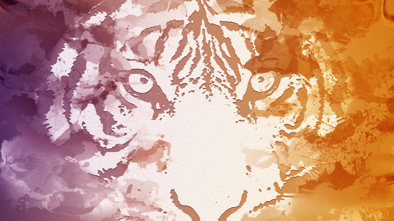 tiger, face, creativity, wall - building feature, textured effect, dirt, pink color, architecture, studio shot, indoors, splattered, backgrounds, 1080P