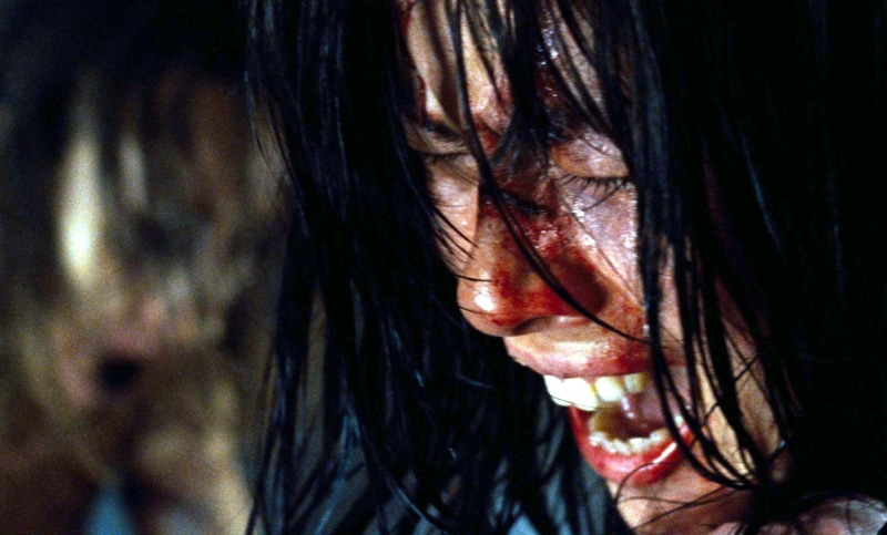 1080P, horror, martyrs, dark, drama, blood