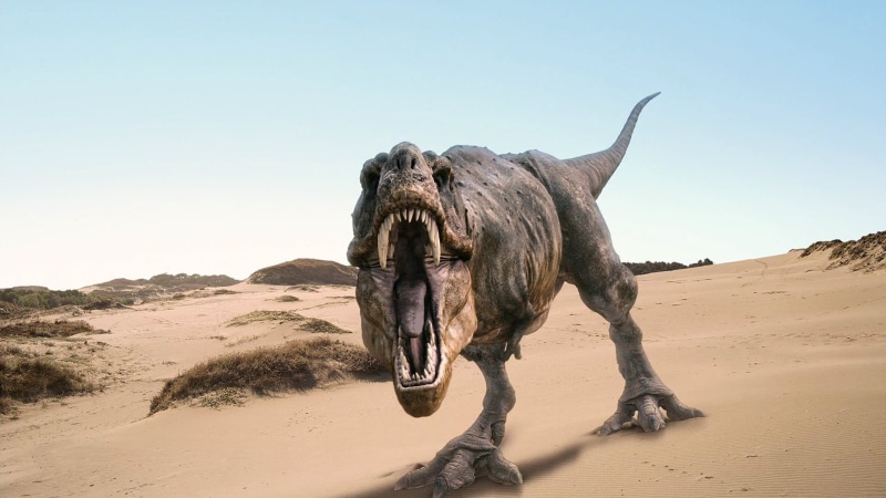 animal body part, dinosaurs, land, Tyrannosaurus rex, sunlight, one animal, clear sky, rex, animal themes, animals, no people, illustration, day, mouth open