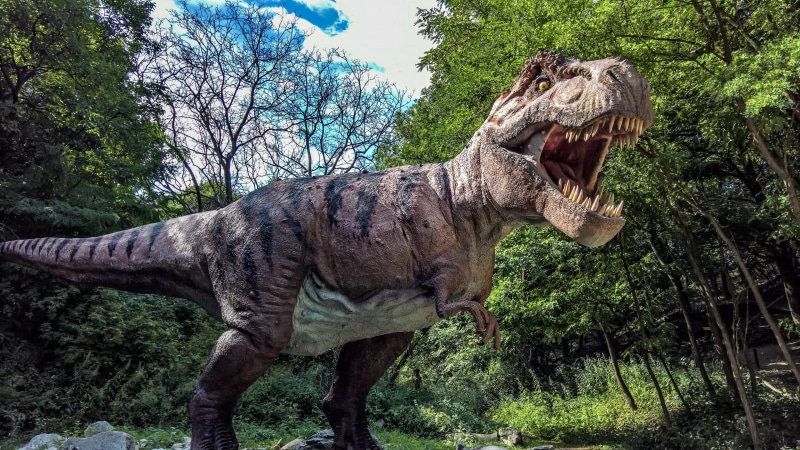 growth, tyrannosaurus, outdoors, velociraptor, plant, vertebrate, tree, day, animal wildlife, forest, mammal, one animal, mouth open, field, animals in the wild