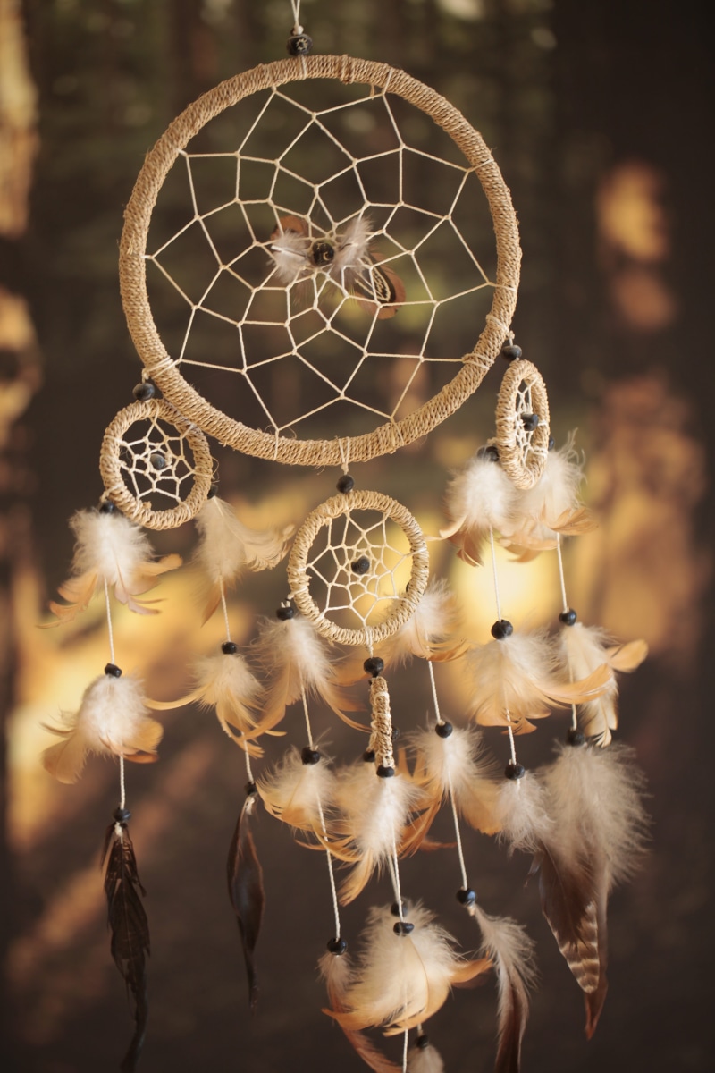 religious equipment, 5K, focus on foreground, dreamlike, sleep, nature, magic, no people, a dream, decoration, shape, softness, feathers, craft product