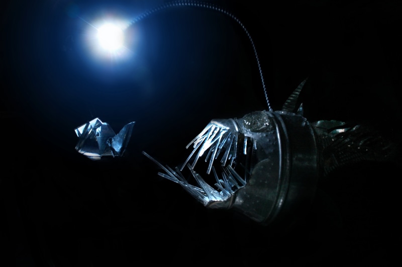 group of objects, nature, lighting equipment, creature, black background, silver, Anglerfish, illustration, no people, night, deep sea, fish, indoors, illuminated