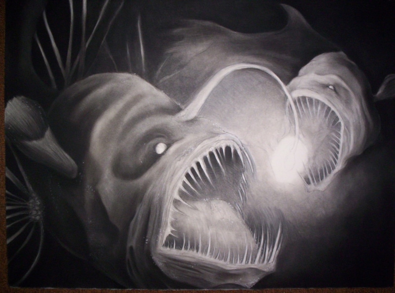 Animal, 1080P, Anglerfish, Fish