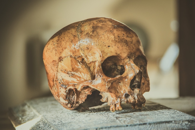 human, head, mouth, human body part, teeth, ancient, wooden, selective focus, the past, human skull, halloween icons, ghost, danger, symbol, close-up, history