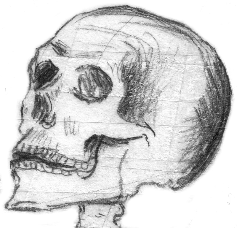 carcass, skeleton, studio shot, human representation, people, human anatomy, art and craft, fear, weird, horror, skull and crossbones, pencil drawing, activity