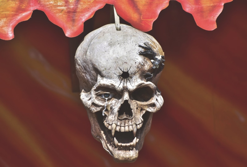 skull, gloomy, body part, focus on foreground, close-up, human bone, mystical, creepy, horror, bone, red, weird, 5K, tooth, creativity, art and craft