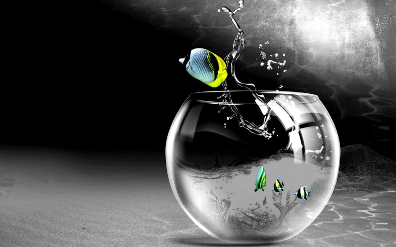 drops, digital, cg, art, 1080P, high, aquarium, resolution, pictures, fishes, splash, glass, bowl