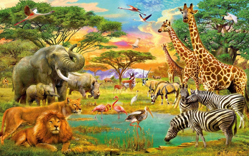 lion, zebra, animals, 2K, african, hd, jungle, art, elephants, giraffe, flamingo