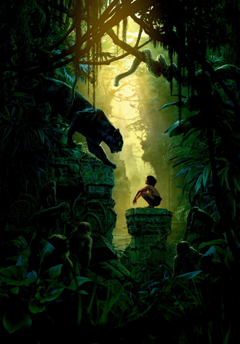 Jungle Book, Mowgli, 5K, Bagheera