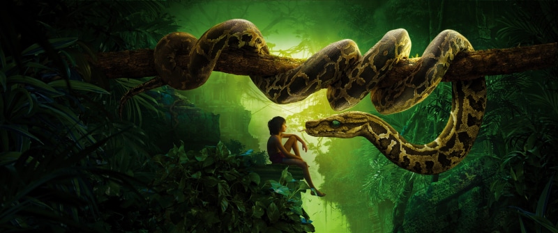 animal, land, growth, tranquility, day, Kaa, no people, animal representation, 4K, green color, tree, plant, forest, plant part, beauty in nature, creativity