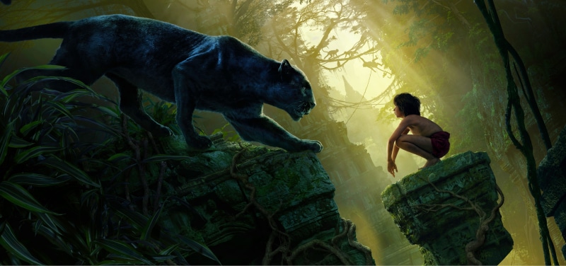 Bagheera, 4K, Jungle Book, Mowgli